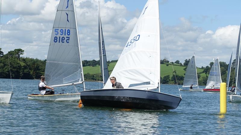 The Dittisham Sailing Club Open Meeting Experience photo copyright Chris Tamlyn taken at Dittisham Sailing Club and featuring the Solo class