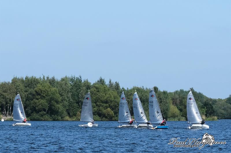 Leigh & Lowton Solution Open photo copyright Paul Hargreaves Photography taken at Leigh & Lowton Sailing Club and featuring the Solution class