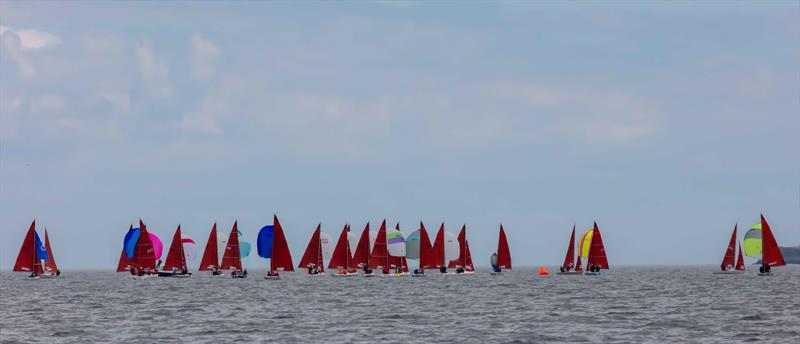 Stewart Brewing Squib UK Nationals at Royal Forth Yacht Club Day 4 - photo © Tim Olin / www.olinphoto.co.uk