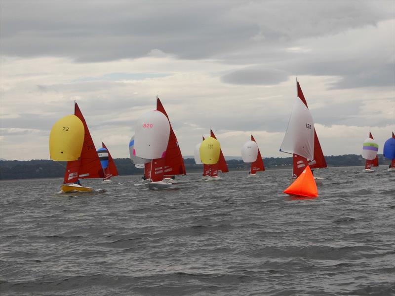 Stewart Brewing Squib UK Nationals at Royal Forth Yacht Club Day 5 - photo © Joe O'Leary