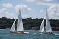 © Miles Carden / Falmouth Harbour