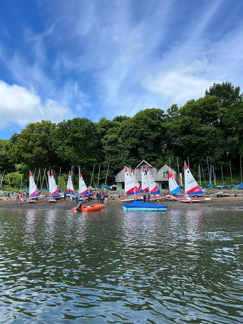 Topper SW Traveller at Dittisham photo copyright Phil Tucker taken at Dittisham Sailing Club and featuring the Topper class