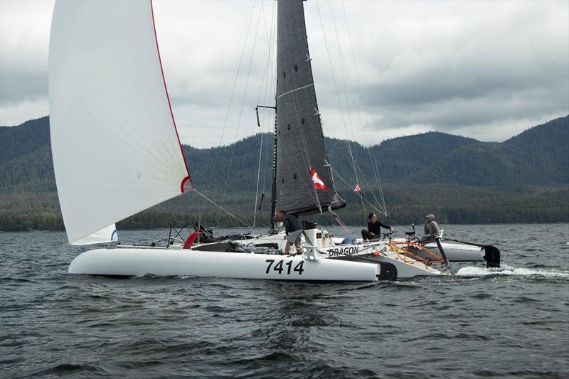 Malolo crusing into Ketchikan - 8th Race to Alaska photo copyright Rachel Bradley taken at  and featuring the Trimaran class