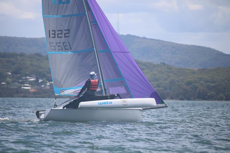 Glenn Foley was always moving fast, and just joined the dots well photo copyright Paul Bellamy taken at Speers Point Amateur Sailing Club and featuring the Weta class