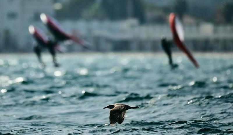 Winging and skimming the surface - photo © IWSA Media / Robert Hajduk