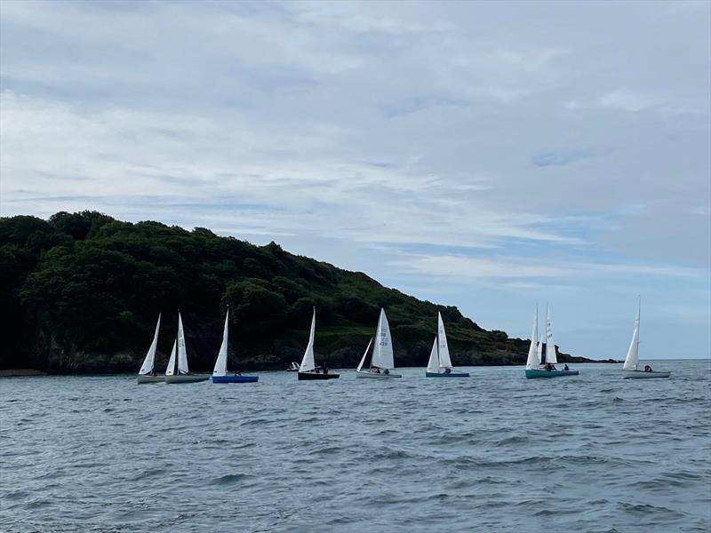 Yachting World Dayboats at the Salcombe Town Regatta 2024 photo copyright Simon Bullingham taken at Salcombe Yacht Club and featuring the Yachting World Dayboat class